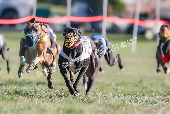 Prg 1, Race 14, Grim Zivah Beacon Cherry Pie Siggy Riggs-9218
