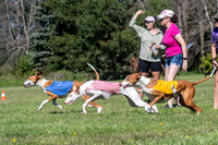 Prelims Fch 1 Ginny Willow Madyson-5437