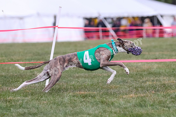 Prg 1, Race 18, Bibi Banshee Thunder Moonstruck-1032