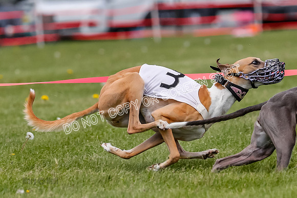 NOTRA Program 3, Race 6,, Nami Jamie Sandy Elia-2-9