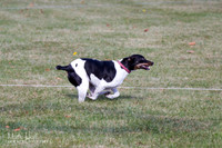IMG_9774