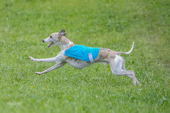 Prelim Open E1, Sid Emoji Bumble-4798