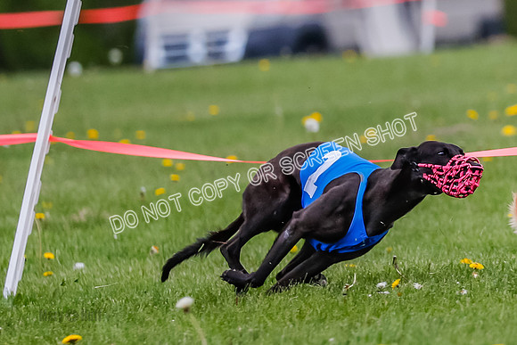 NOTRA Program 2, Race 7, Ragnar Power Sandy Elvis-2-7