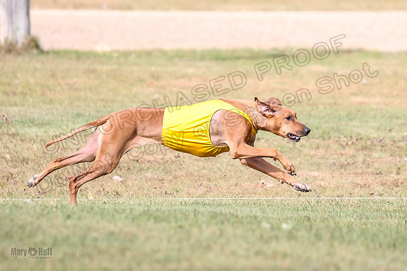 1 prelims Vet Libby Xena-6301