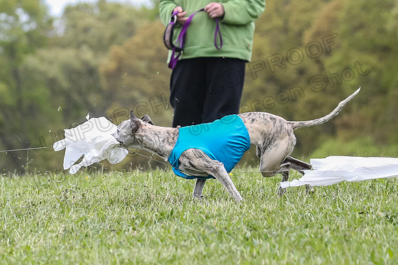 Finals Vets 5, RickyBobby Blue Jewel-2452