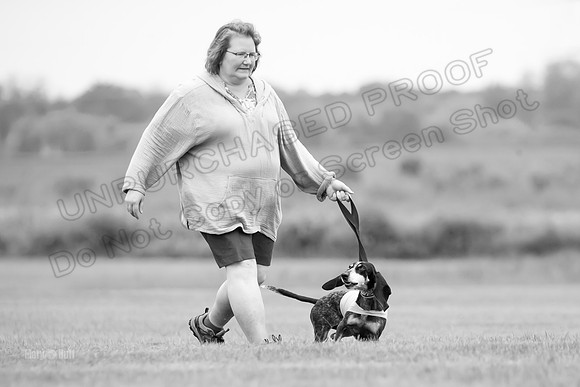 Prelims Mavis-0982-2