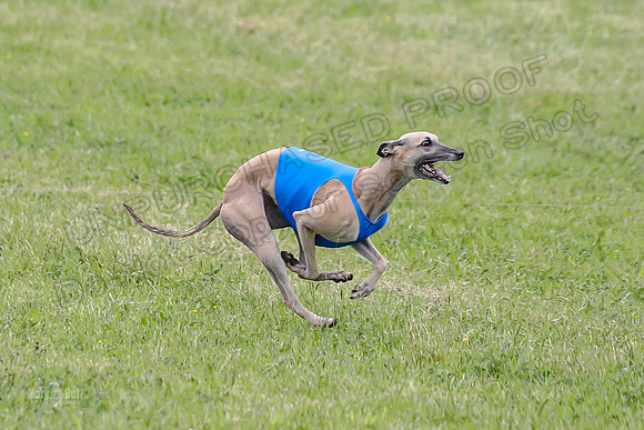 Prelim Veterans 4, Smokey Vulcan Justice-0189