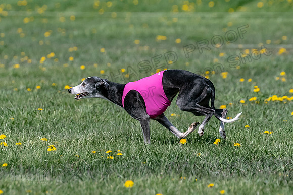 1Prelims Veterans 3 Raya Ember Hattie-1723