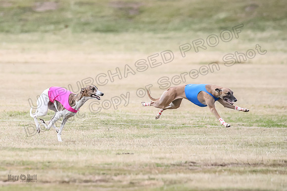 1Prelim Open 3 Eggsy Trixie Treble-3042