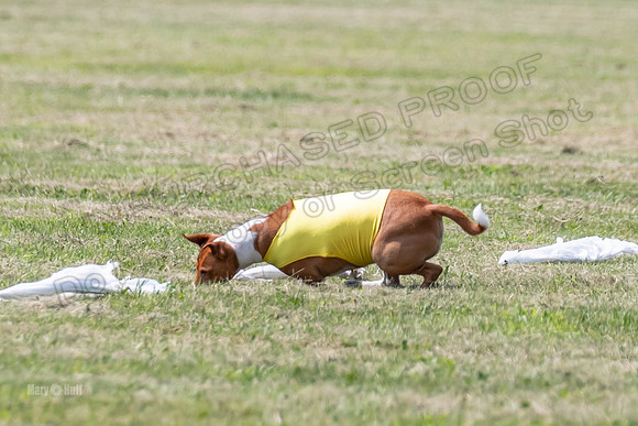Finals-0142