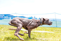 _E4I3114