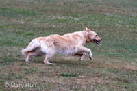 IMG_9863
