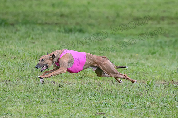 Prelim Open B4, Marlee Wrath Sonic-8476