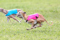Prelim Specials A2, Laina Mantle Sassy-9628