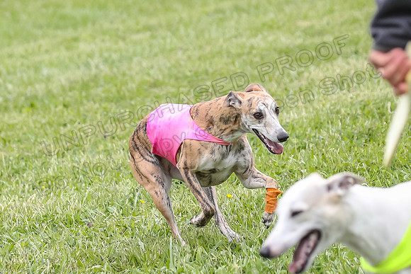 Finals Open A4, Steve Teak Zoe-410379