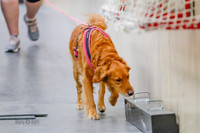 Elite-5435