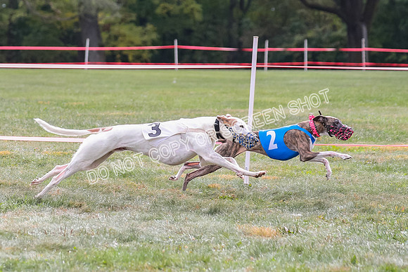 Prg 2, Race 1, Clyps Warrior Floyd Carney-1276-2