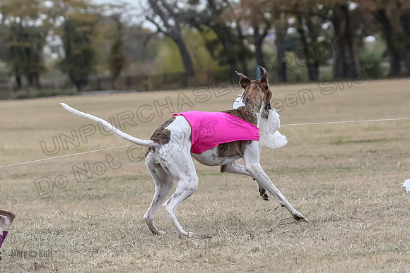 Finals Open 4 Rigel Trixie-4144