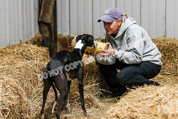 AE4I0242