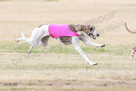 1Prelim Open 3 Eggsy Trixie Treble-3045