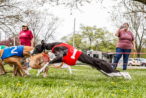 WRA, Prg 3, Race 8, Pico Sandy Hornet Tsunami Fenrir Buttercup-9220
