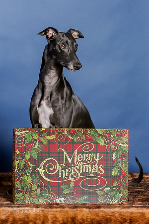 xmas Kristy-428-Edit