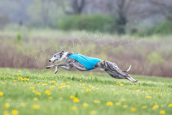 Finals Fch A1 Whisper Treble JesseJames-9082