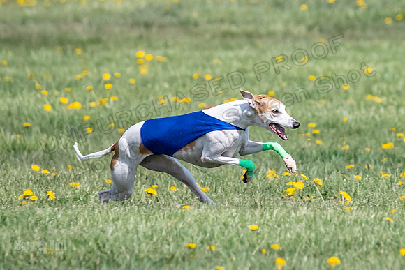 1Prelims Specials A4 Whisper Indy Crescent-1273
