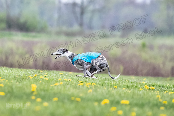 Finals Fch A1 Whisper Treble JesseJames-9084