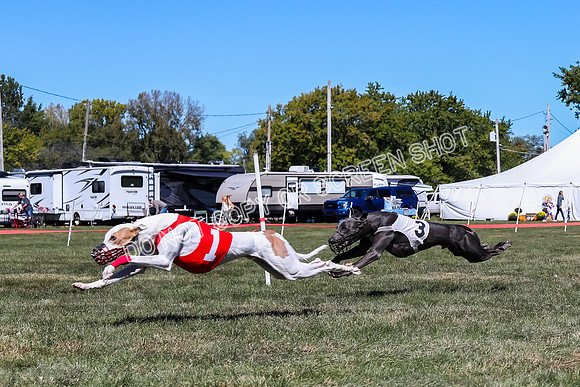 Prg 3, Race 2, Reas Cobalt Mika Blitz-9587