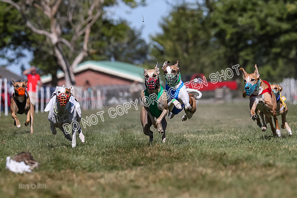Prg 4, Race 7, Seavey Gnocchi Lilly Zeus Griffey Sparks-0266