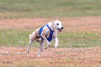 1 Prelims Open 1 AnnieOakley Fennec Zero-1214