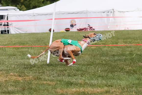 Prg 1, race 9, Rizzo Halima Sansa Flora-0786