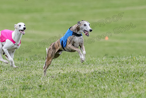 Finals Open D5, Misty Cheese Turbo-0954
