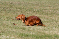 IMG_1844