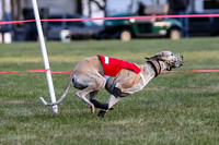 Prg 1, race 1, Arrow Blitz Rosie Floyd-0574