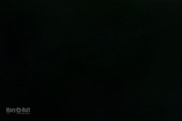 AE4I7249