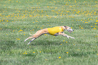 1Prelims Veterans 1 Rosa Marley Luna-1626