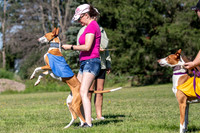 Prelims Fch 1 Ginny Willow Madyson-5399