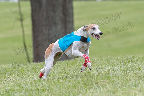 Finals Vets 4, Parker Marley Brag-2394