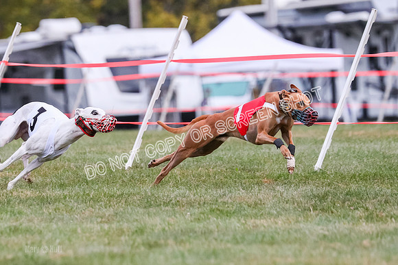 Prg 1, race 10, Bobo Piper Elvis Grit-0807