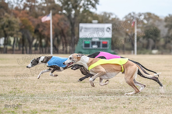 Finals Open 3 Scorch Shine Kashi-4019