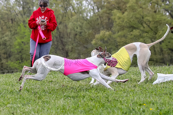 Finals Open D4, Roo Shroom Torque-0930