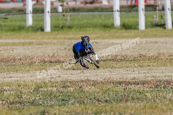 Open 1, Final, Zuma-Quinn-Flint-4920