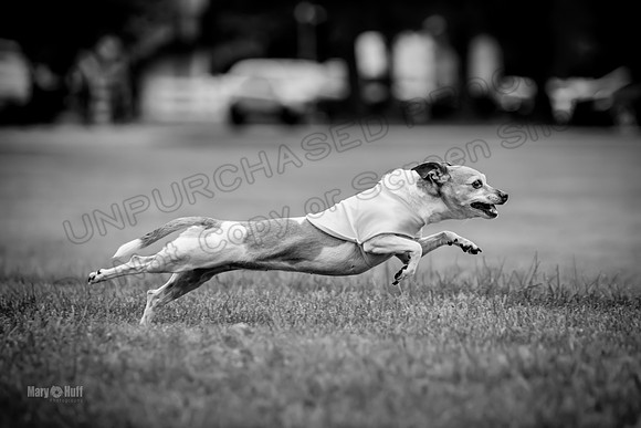 Prelims Rocketgirl-1133-2