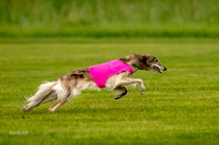 Prelim Open Silken-0394