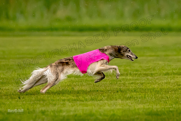 Prelim Open Silken-0394