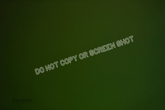Certs QC's Practice-8115