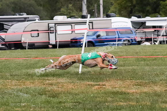 Prg 1, race 9, Rizzo Halima Sansa Flora-0784