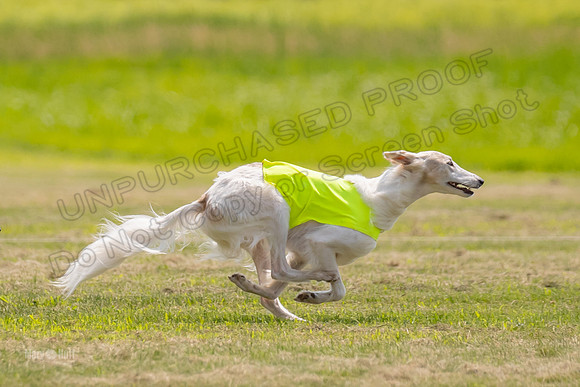Finals Ripley Lily-0060